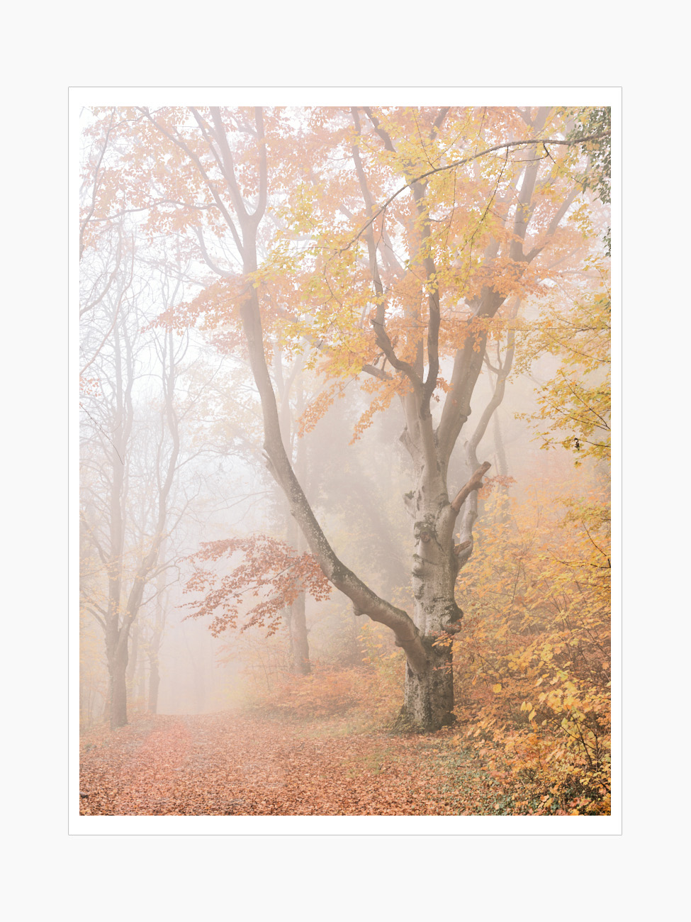 Max Schiefele Alle Bilder  DSF3643